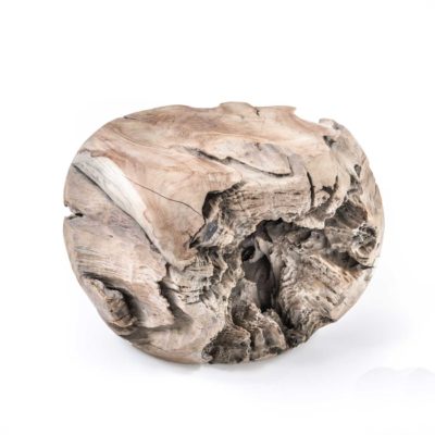 Gommaire Root Ball Coffee Table